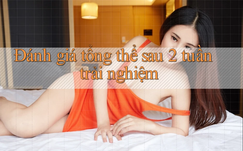 Đánh giá tổng thể sau 2 tuần trải nghiệm Đánh giá tổng thể sau 2 tuần trải nghiệm