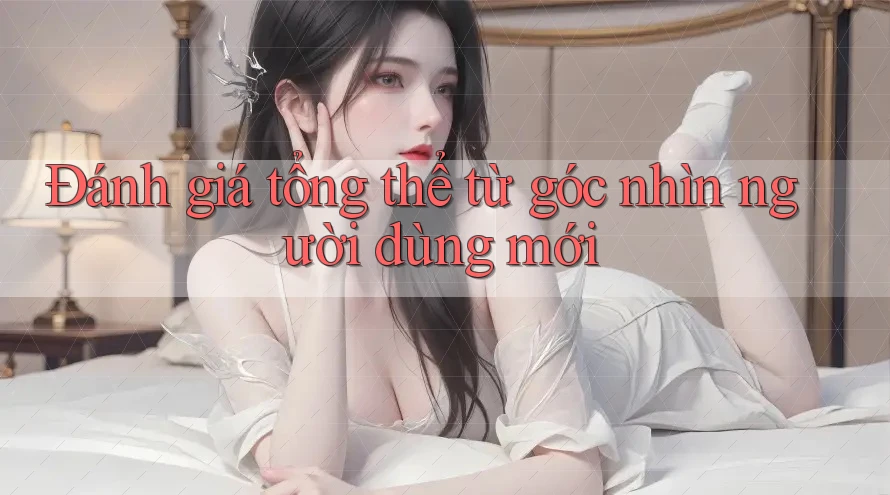 Đánh giá tổng thể từ góc nhìn người dùng mới Đánh giá tổng thể từ góc nhìn người dùng mới