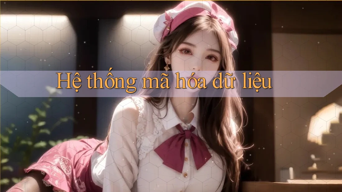 Hệ thống mã hóa dữ liệu Hệ thống mã hóa dữ liệu