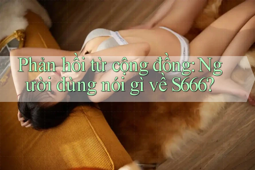 Phản hồi từ cộng đồng: người dùng nói gì về s666? Phản hồi từ cộng đồng: người dùng nói gì về s666?