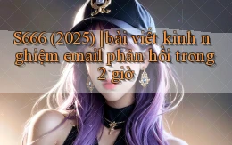 S666 (2025) bài viết kinh nghiệm email phản hồi trong 2 giờ