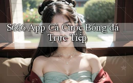 s666  app cá cược bóng đá trực tiếp