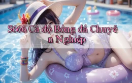 s666  Cá độ bóng đá chuyên nghiệp