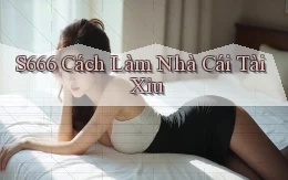 s666  cách làm nhà cái tài xỉu