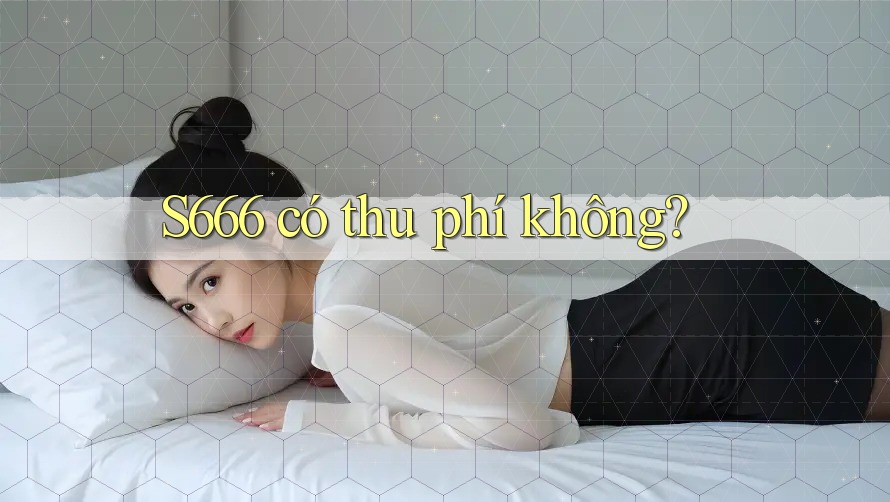 S666 có thu phí không? S666 có thu phí không?