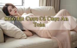 s666  đặt cược cá cược an toàn