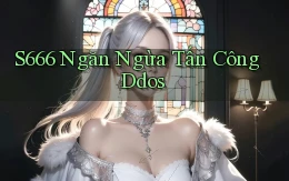 s666  ngăn ngừa tấn công ddos