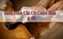 s666  nhà cái cá cược bóng đá