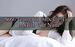 s666  trang cá cược uy tín nhất việt nam