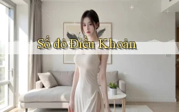 số đỏ Điều khoản