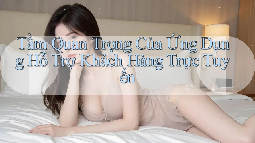 Tầm Quan Trọng Của Ứng Dụng Hỗ Trợ Khách Hàng Trực Tuyến Tầm Quan Trọng Của Ứng Dụng Hỗ Trợ Khách Hàng Trực Tuyến