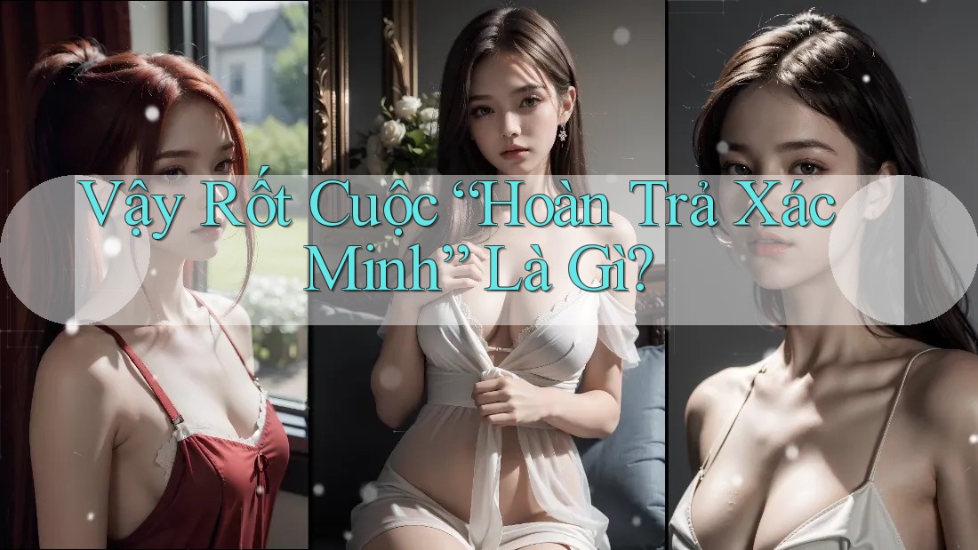Vậy Rốt Cuộc “Hoàn Trả Xác Minh” Là Gì? Vậy Rốt Cuộc “Hoàn Trả Xác Minh” Là Gì?